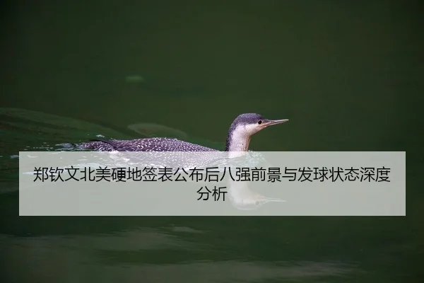 郑钦文北美硬地签表公布后八强前景与发球状态深度分析